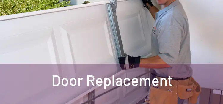  Door Replacement 
