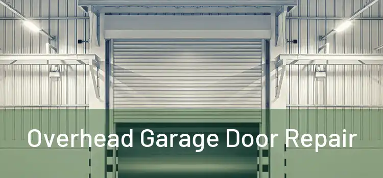  Overhead Garage Door Repair 