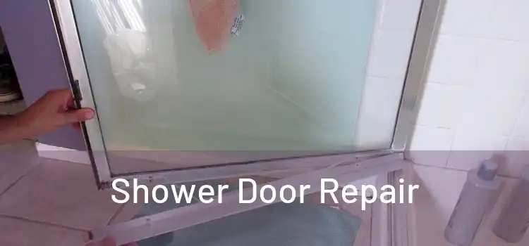  Shower Door Repair 